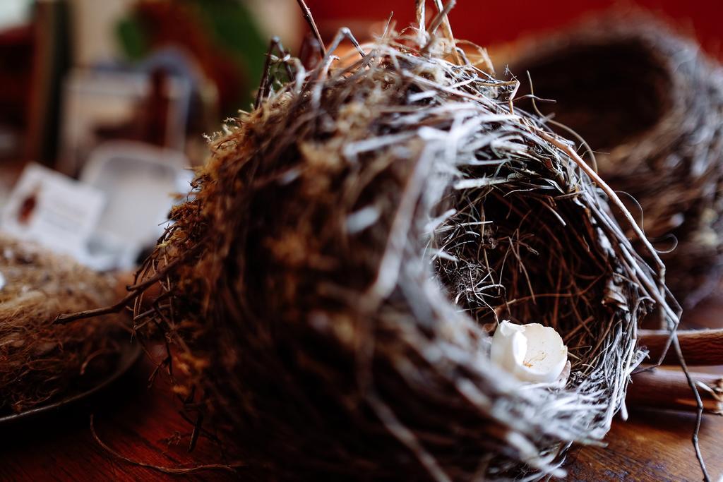 Le Poujastou Bed & Breakfast Juzet-de-Luchon ภายนอก รูปภาพ